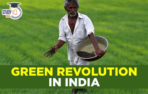  Indian Agriculture: A Saga of Transformation! Unveiling India's Green Revolution Through the Lens of History and Sustainability